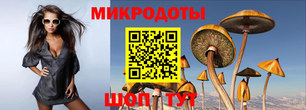 Псилоцибиновые грибы Psilocybe Электрогорск